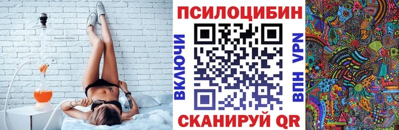 Псилоцибиновые грибы Psilocybe  купить  сайты  Почеп 